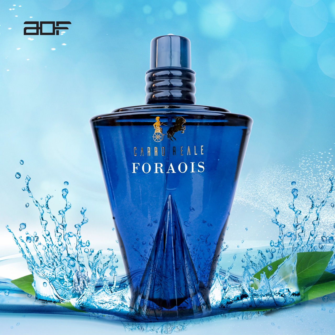 Grey Hair Remedy Kit Review